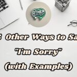 15 Other Ways to Say I'm Sorry (With Examples)