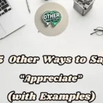 15 Other Ways To Say “appreciate” (with Examples)