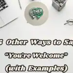 15 Other Ways To Say “you’re Welcome” (with Examples)