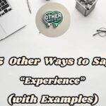 15 Other Ways To Say Experience (with Examples)