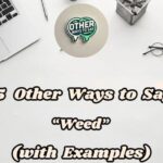 15 Other Ways To Say Weed (with Examples)