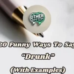 20 Funny Ways To Say “drunk” (with Examples)