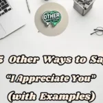 15 Other Ways To Say “i Appreciate You” (with Examples)