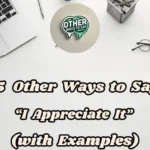 15 Other Ways To Say “i Appreciate It”(with Examples)