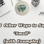 15 Other Ways To Say “small”(with Examples)